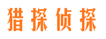 滴道市调查公司